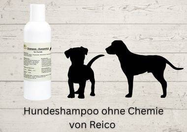 Hundeshampoo ohne Chemie
