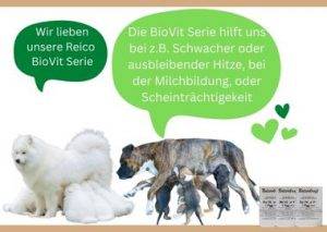 Futterergänzung BioVit für die Hundezucht