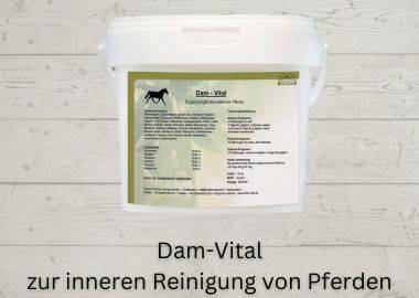 Dam-Vital Reico Pferdefutter Mineralfutter