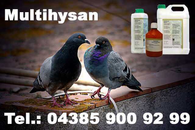 Multihysan online kaufen Taubenmilch