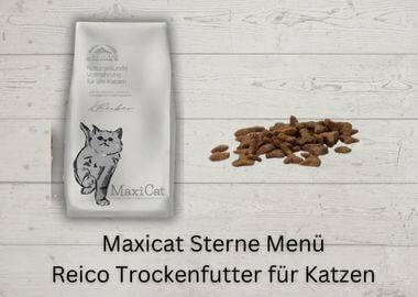 Maxicat Sterne Menü