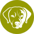 REICO Hundefutter online-shop