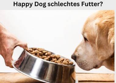 Happy Dog Hundefutter gut oder schlecht?  Test