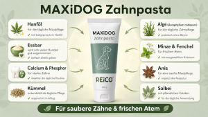 Zahnpasta für Hunde