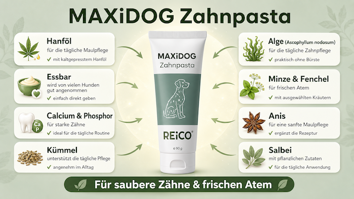 Zahnpasta für Hunde